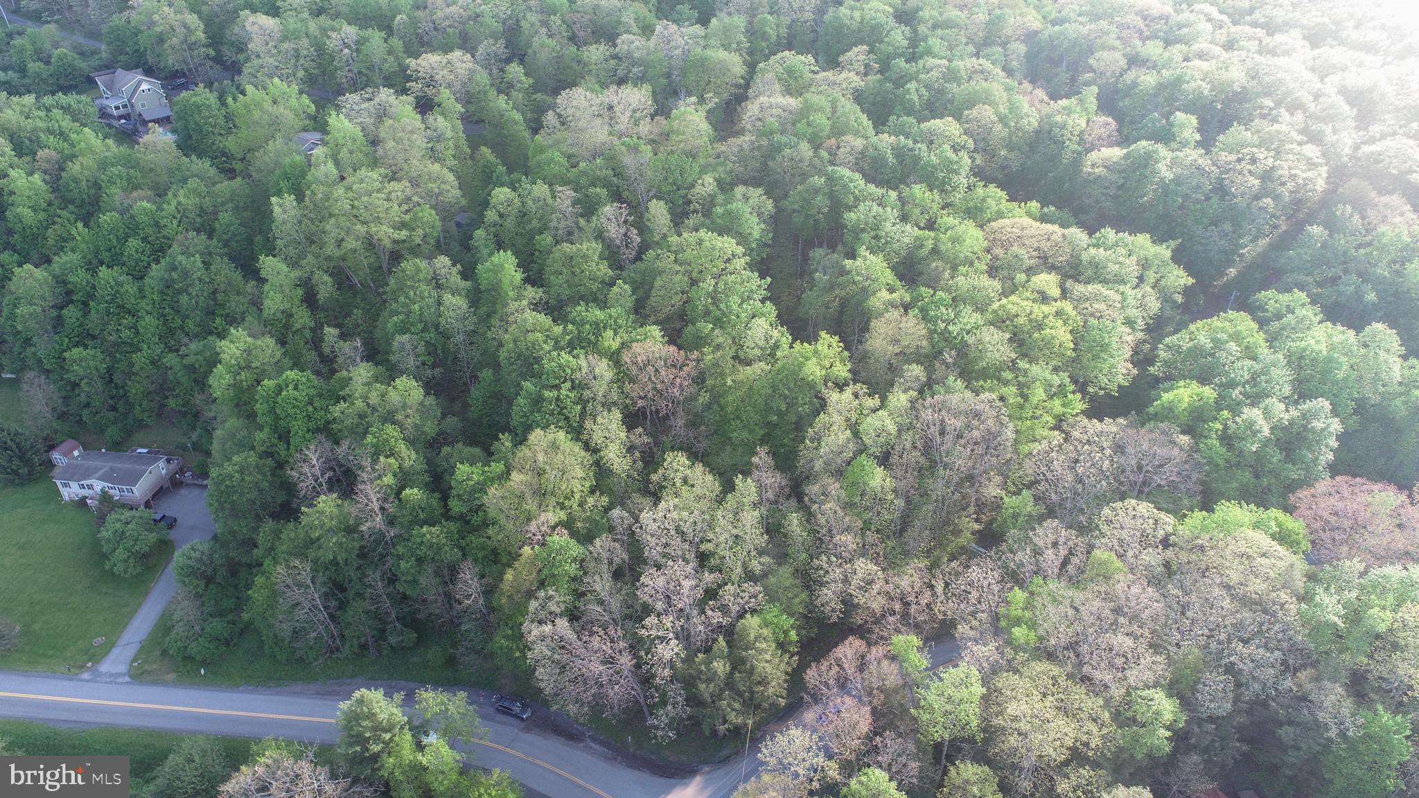 Red Run Heights Road Oakland, MD 21550 - Photo 17 of 24