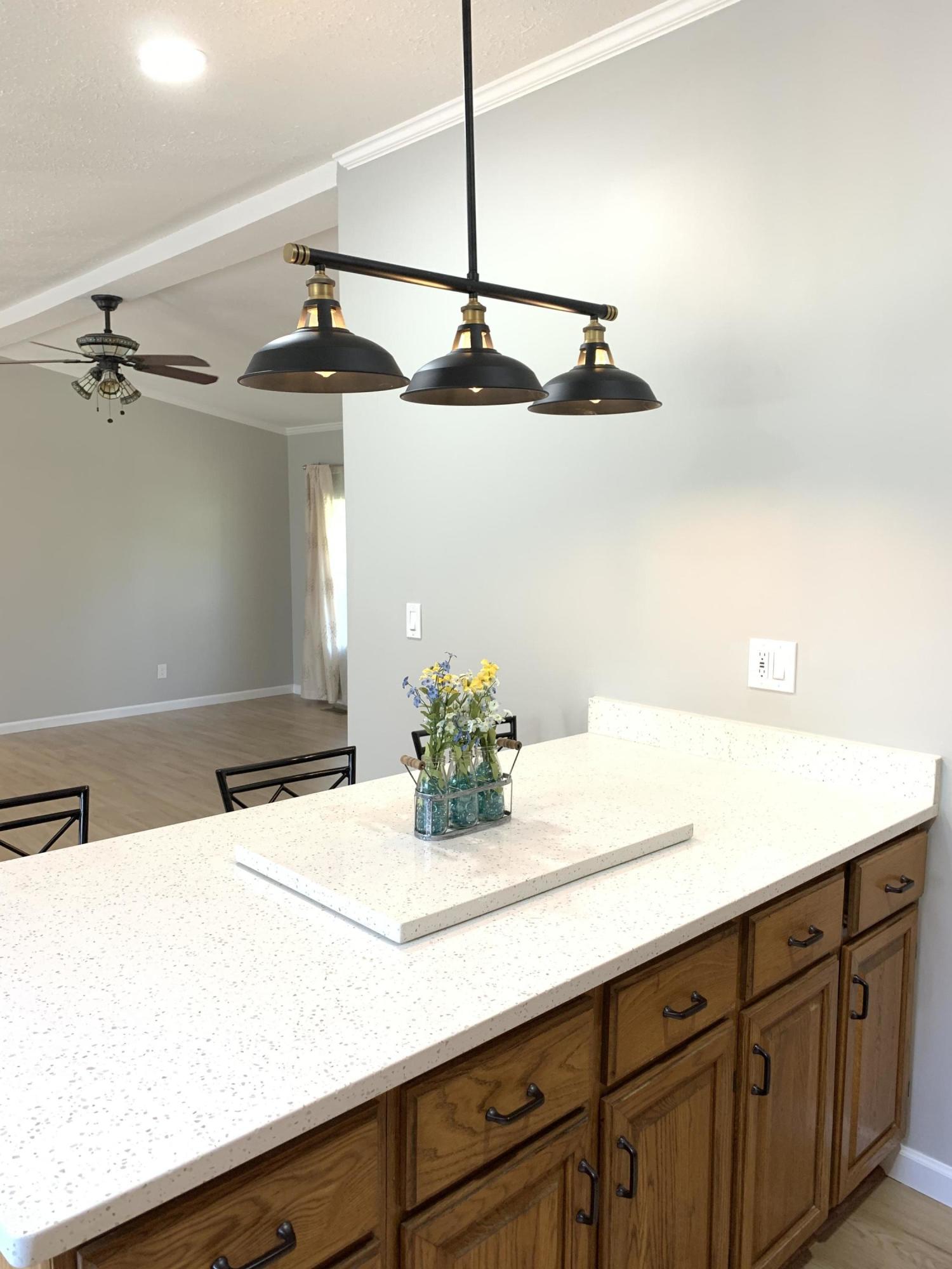 300 West Raccoon Valley Drive Heiskell, TN 37754 - Photo 4 of 34 IMG-4031