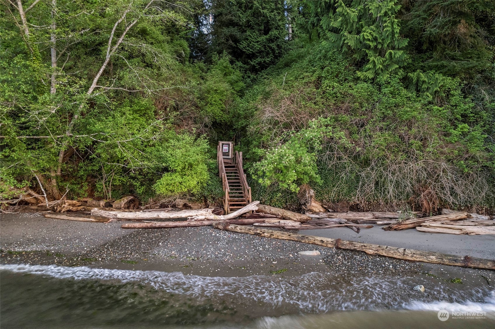 4903 Saratoga Road Langley, WA 98260 - Photo 39 of 40 a view of a yard with plants and trees