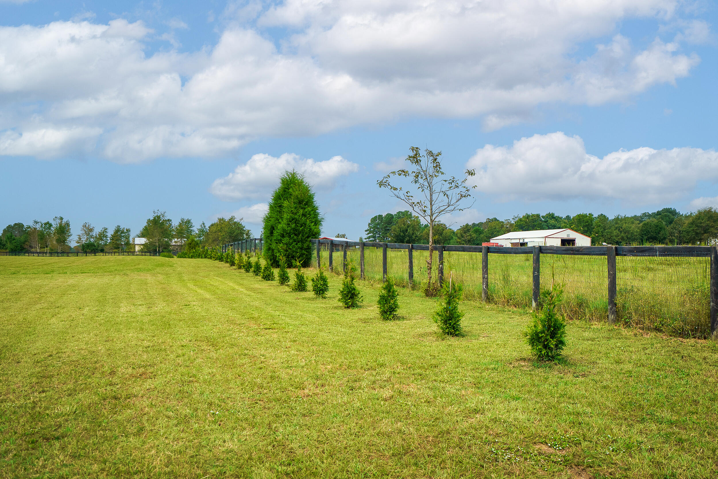 0 Wagener Road Aiken, SC 29805 - Photo 25 of 39