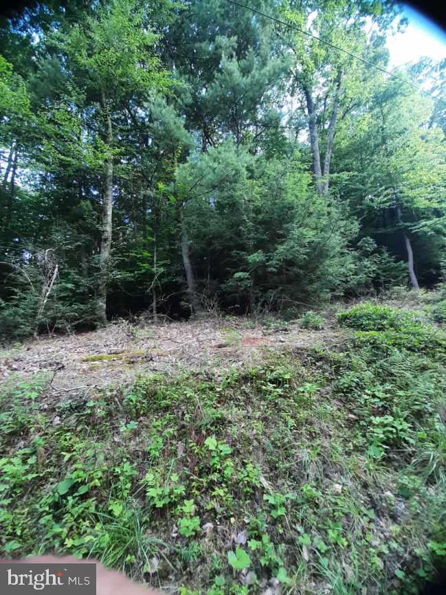 0 Rupp Road Elliottsburg, PA 17024 - Photo 1 of 7 14 wooded ACRES