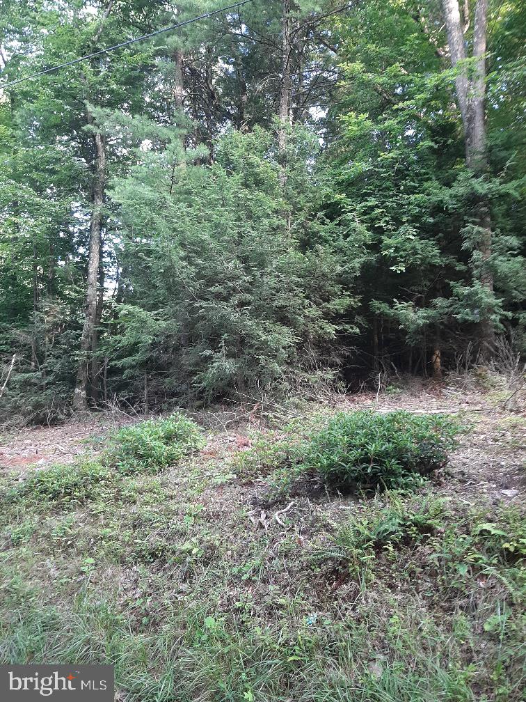 0 Rupp Road Elliottsburg, PA 17024 - Photo 5 of 7 LAND