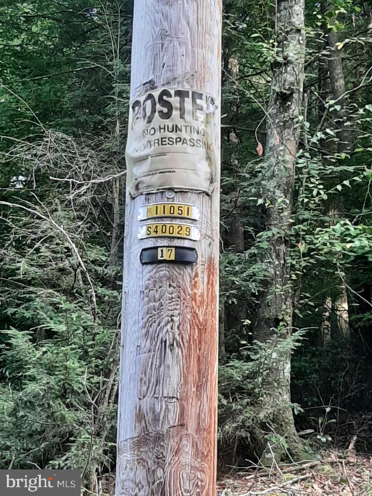 0 Rupp Road Elliottsburg, PA 17024 - Photo 7 of 7 T-POLE NEAR MIDDLE OF PROPERTY