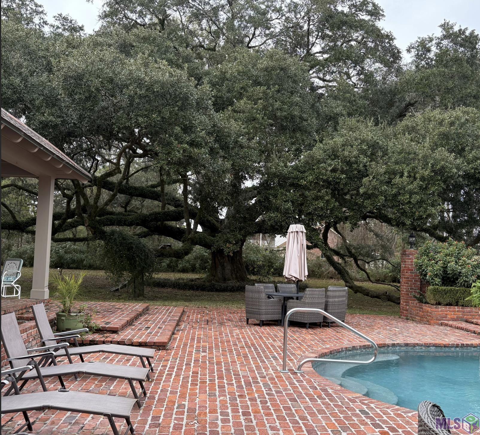 13505 North Amiss Road Baton Rouge, LA 70810 - Photo 8 of 48 Live Oak by Pool