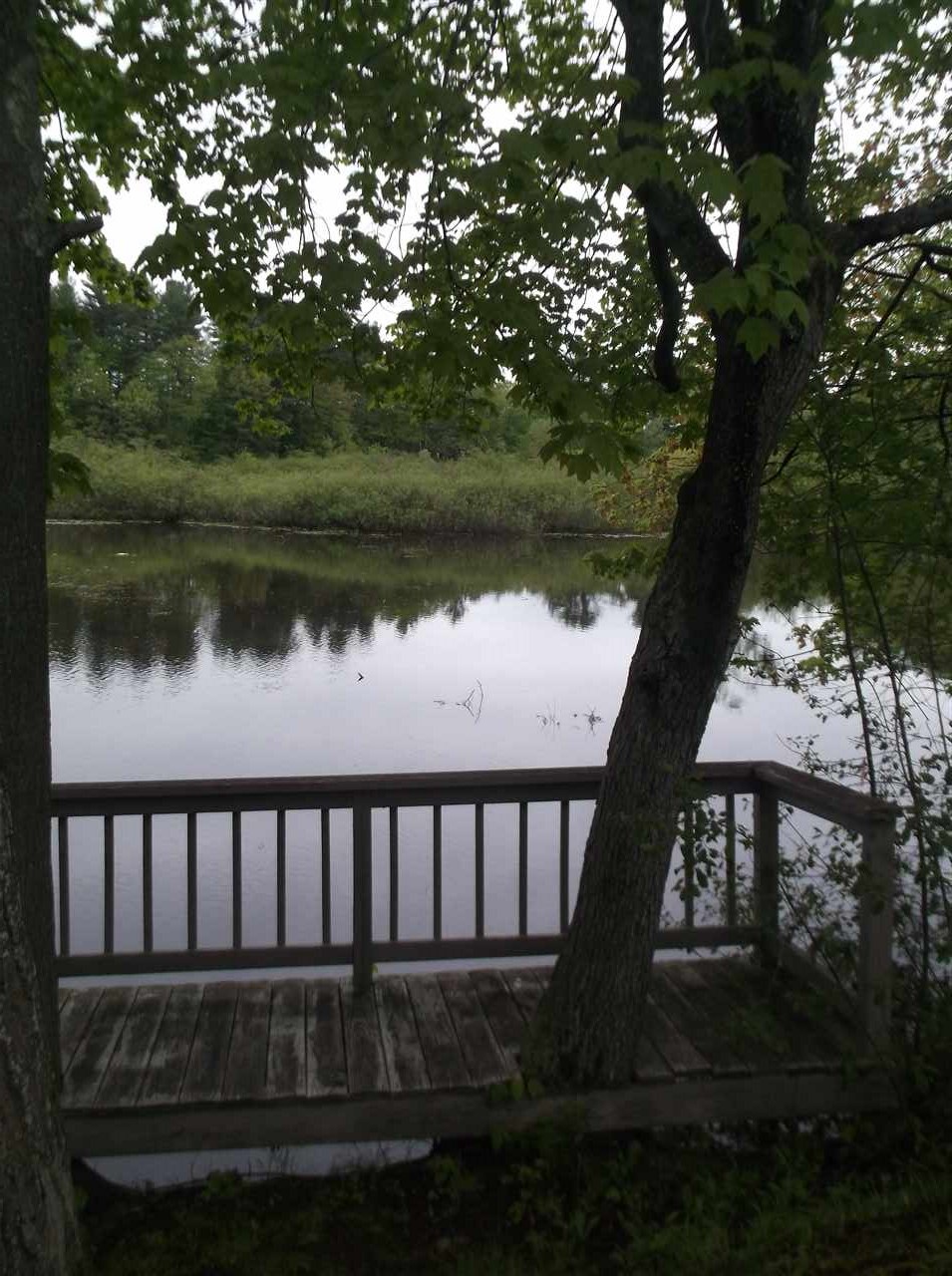 58 Riverview Drive Rochester, NH 03867 - Photo 10 of 17