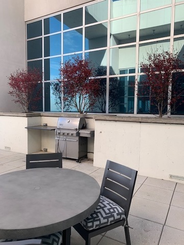 1629 South Prairie Avenue, Unit 2301 Chicago, IL 60616 - Photo 27 of 28