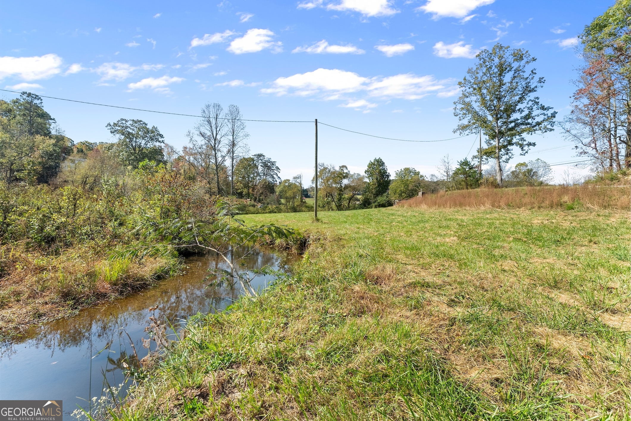 0 Highway 255 South Cleveland, GA 30528 - Photo 12 of 20 a view of a garden with an outdoor space