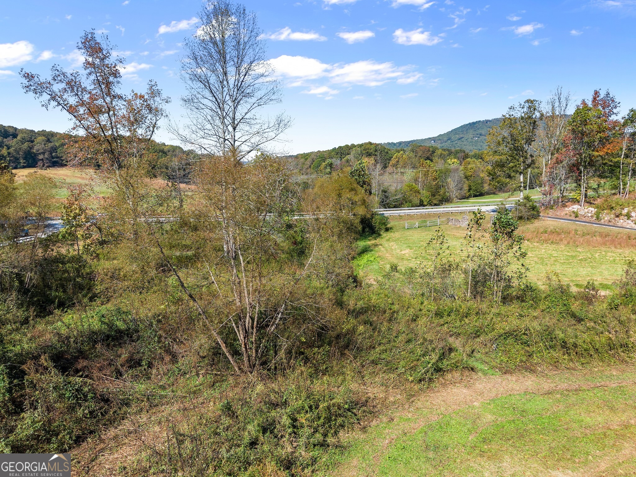 0 Highway 255 South Cleveland, GA 30528 - Photo 16 of 20 a view of a yard with a tree