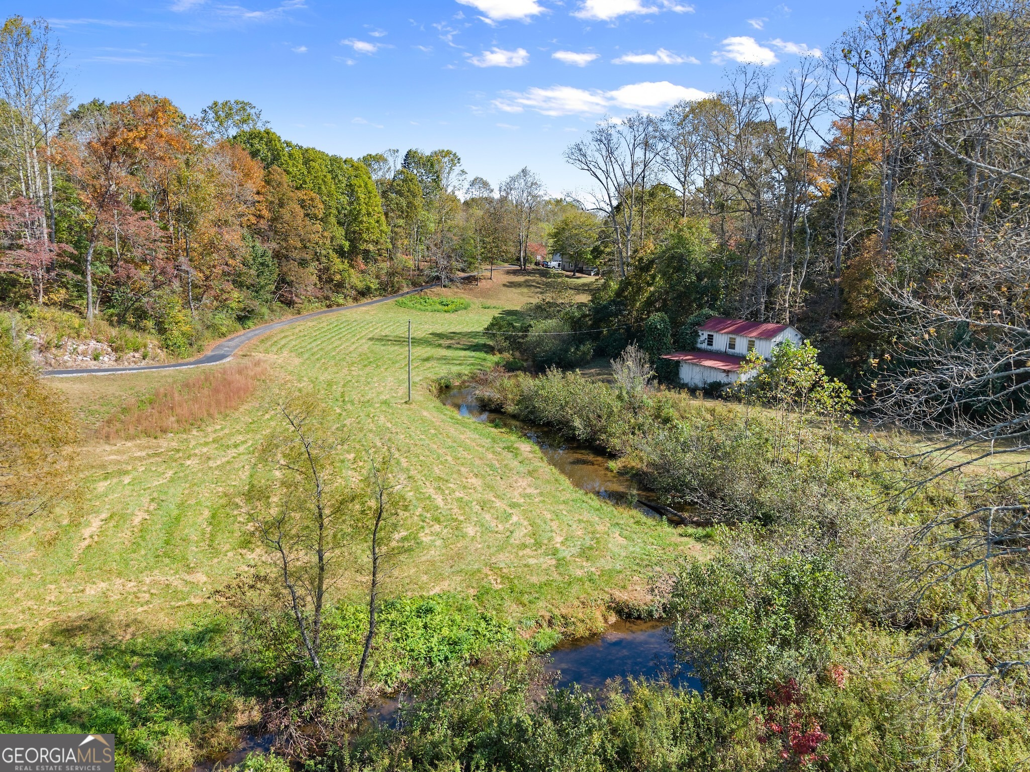 0 Highway 255 South Cleveland, GA 30528 - Photo 4 of 20 a view of a yard