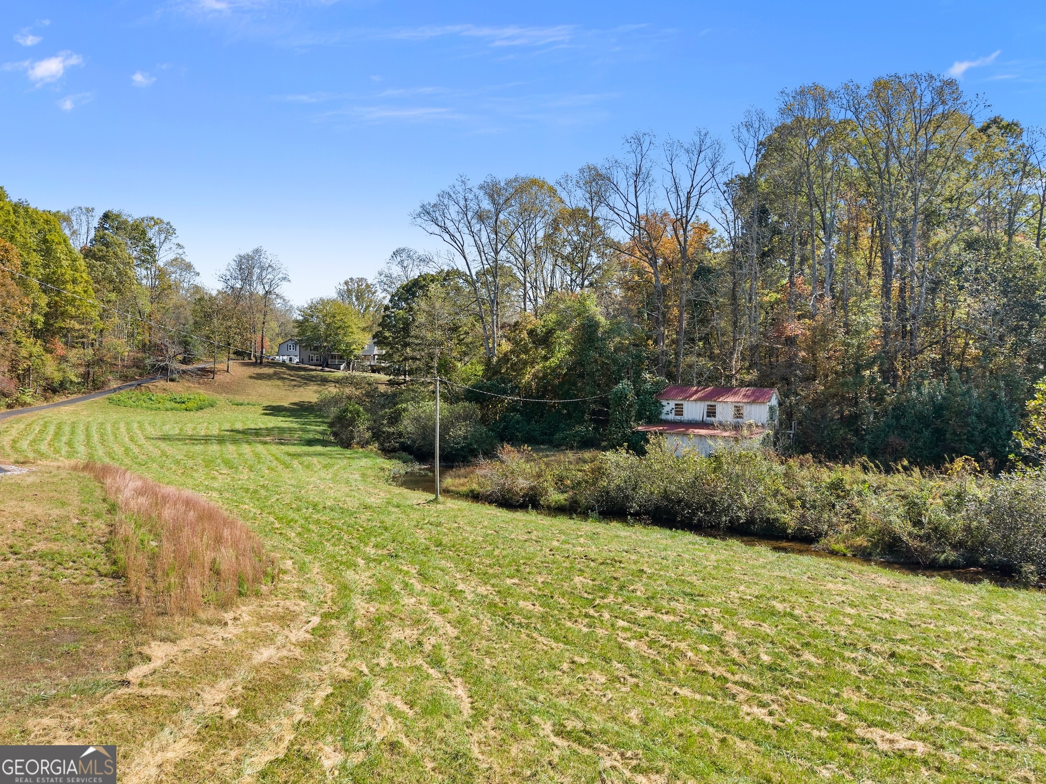 0 Highway 255 South Cleveland, GA 30528 - Photo 9 of 20 a view of a yard with an trees