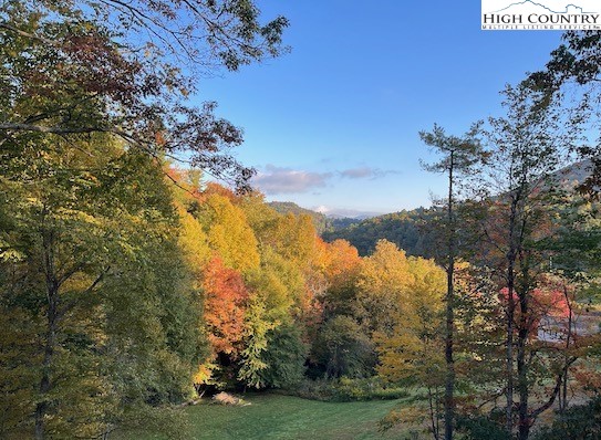 366 Russelton Road Boone, NC 28607 - Photo 3 of 29 a view of a trees with a yard