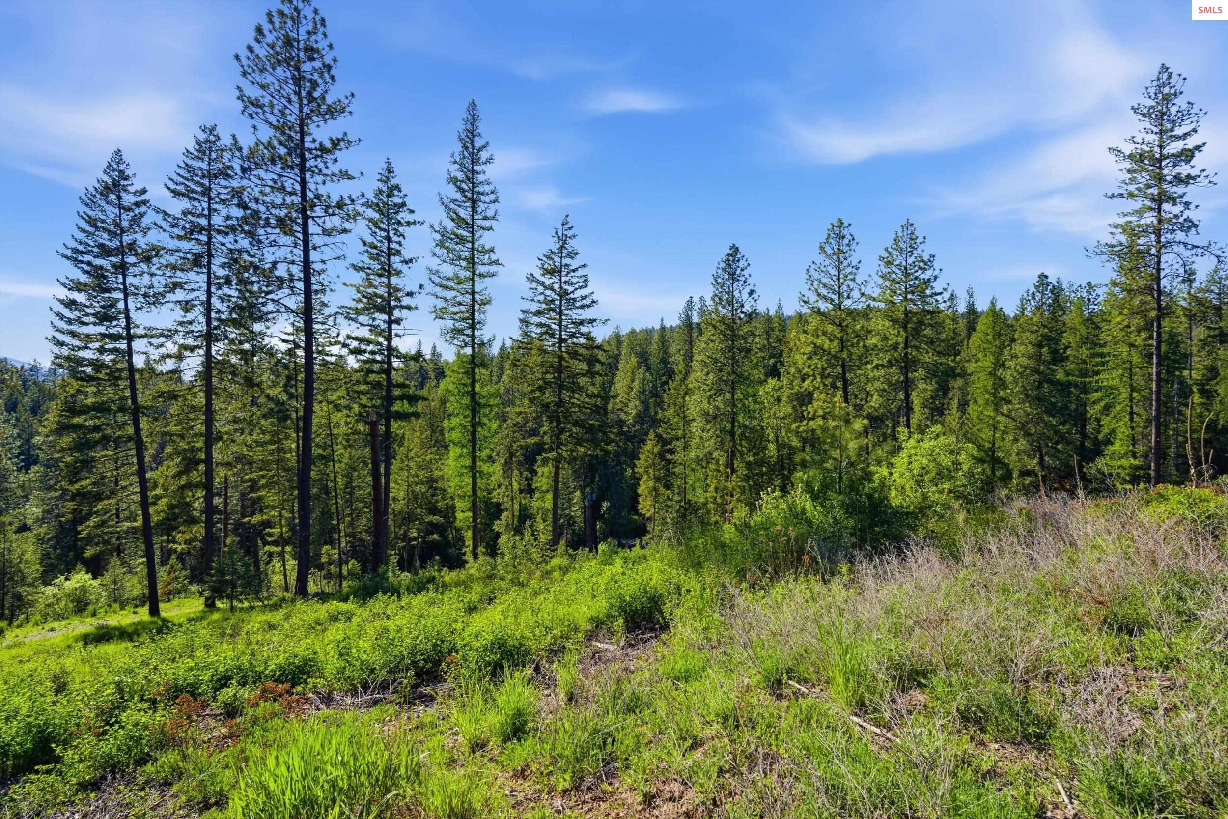 Nka Nka Stone Road Blanchard, ID 83804 - Photo 23 of 29 Gallery Image 23