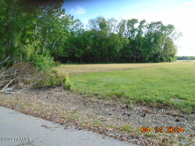Tbd Delaloire Road St. Martinville, LA 70582 - Photo 8 of 8