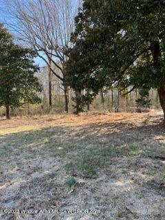 0 Arkadelphia Road Jasper, AL 35504 - Photo 1 of 2 Gallery Image 1