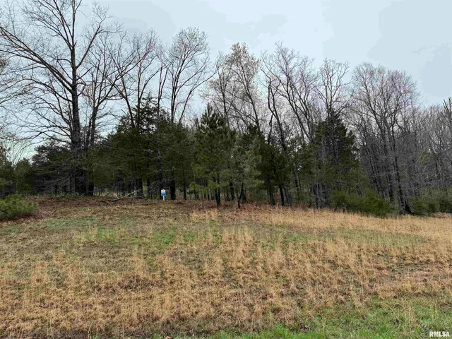 $19,900 | Lot 365-366 Clifty Lane, Goreville, IL 62939