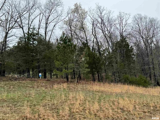 $19,900 | Lot 365-366 Clifty Lane, Goreville, IL 62939