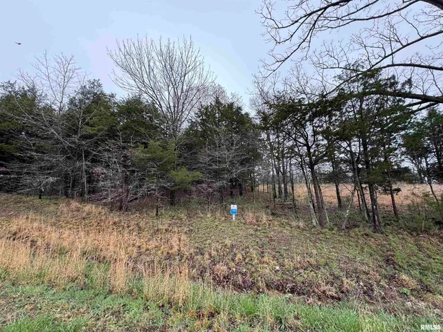 $19,900 | Lot 365-366 Clifty Lane, Goreville, IL 62939