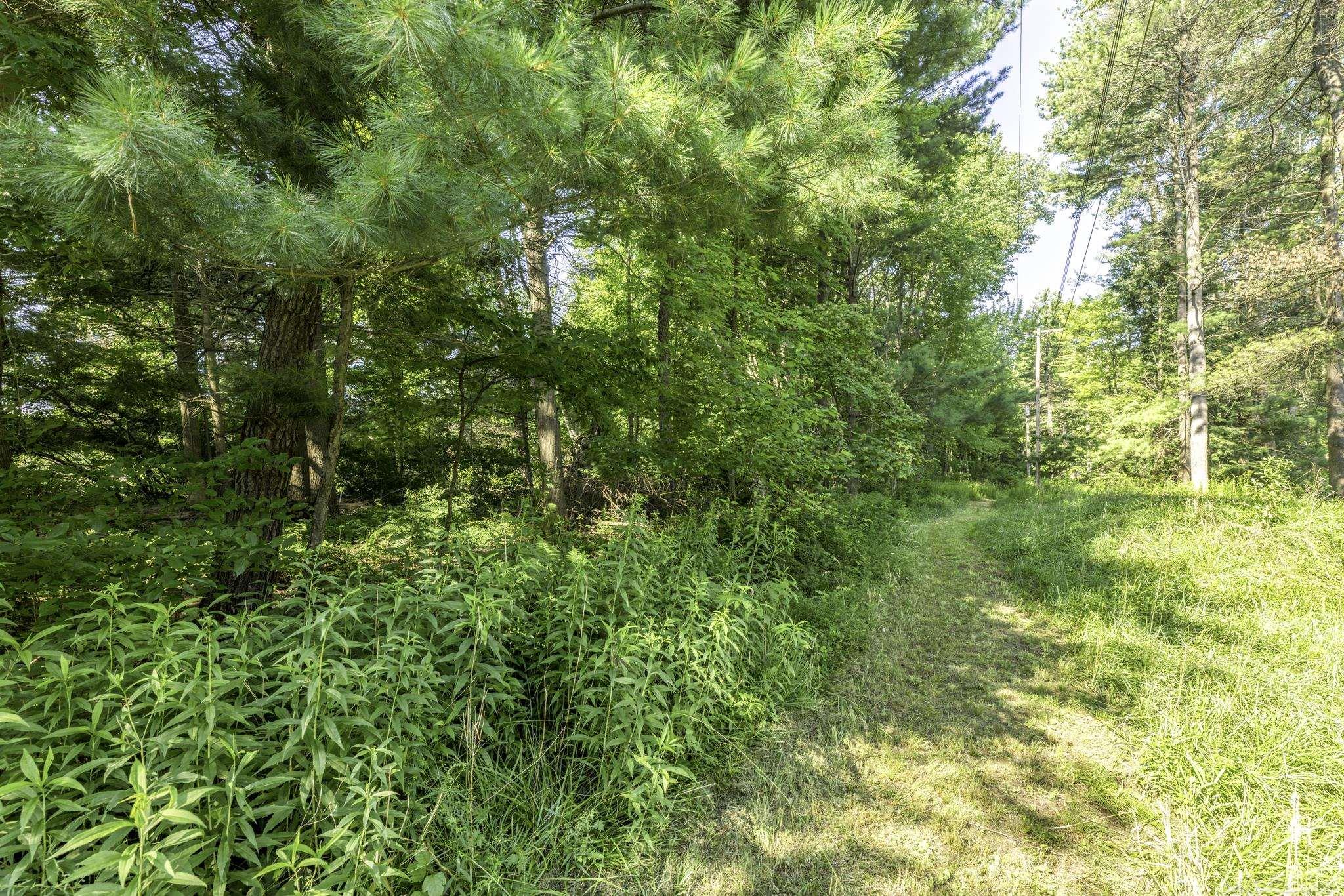 4034 Lakeshore Road Lexington, MI 48450 - Photo 27 of 37 NW Woods Path