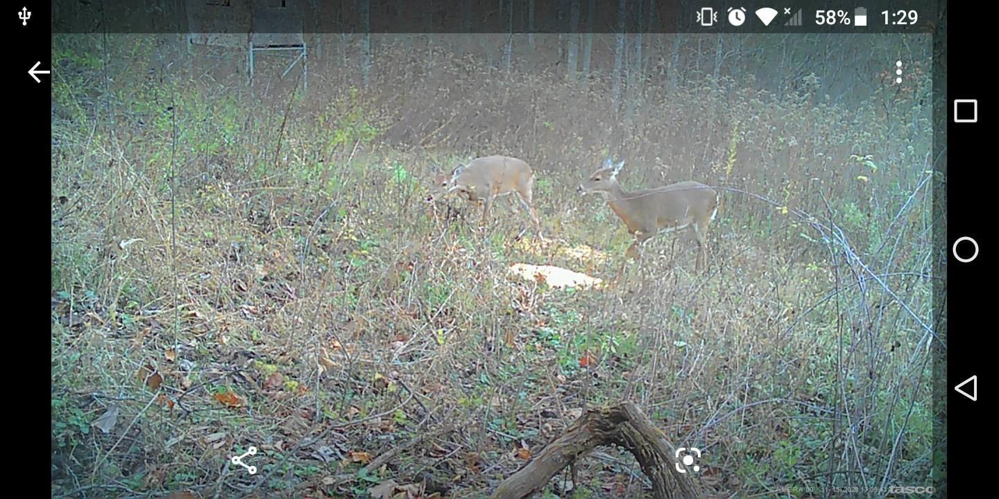 2592 Ratliff Branch Road Frenchburg, KY 40322 - Photo 26 of 30 IMG_20210503_133737_01