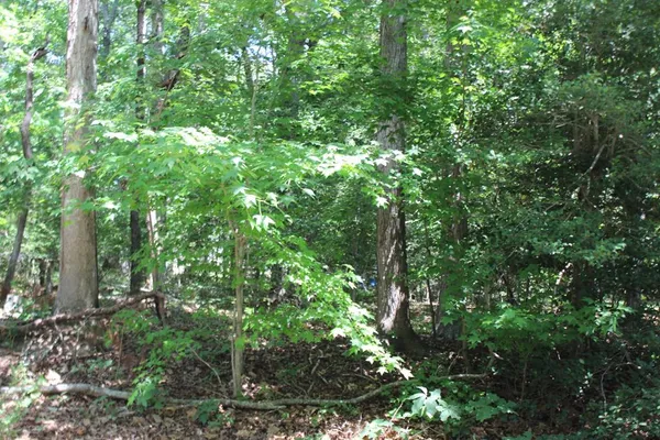 $1,900 | 112 Custom Drive, Unit 112, Greenbackville, VA 23356