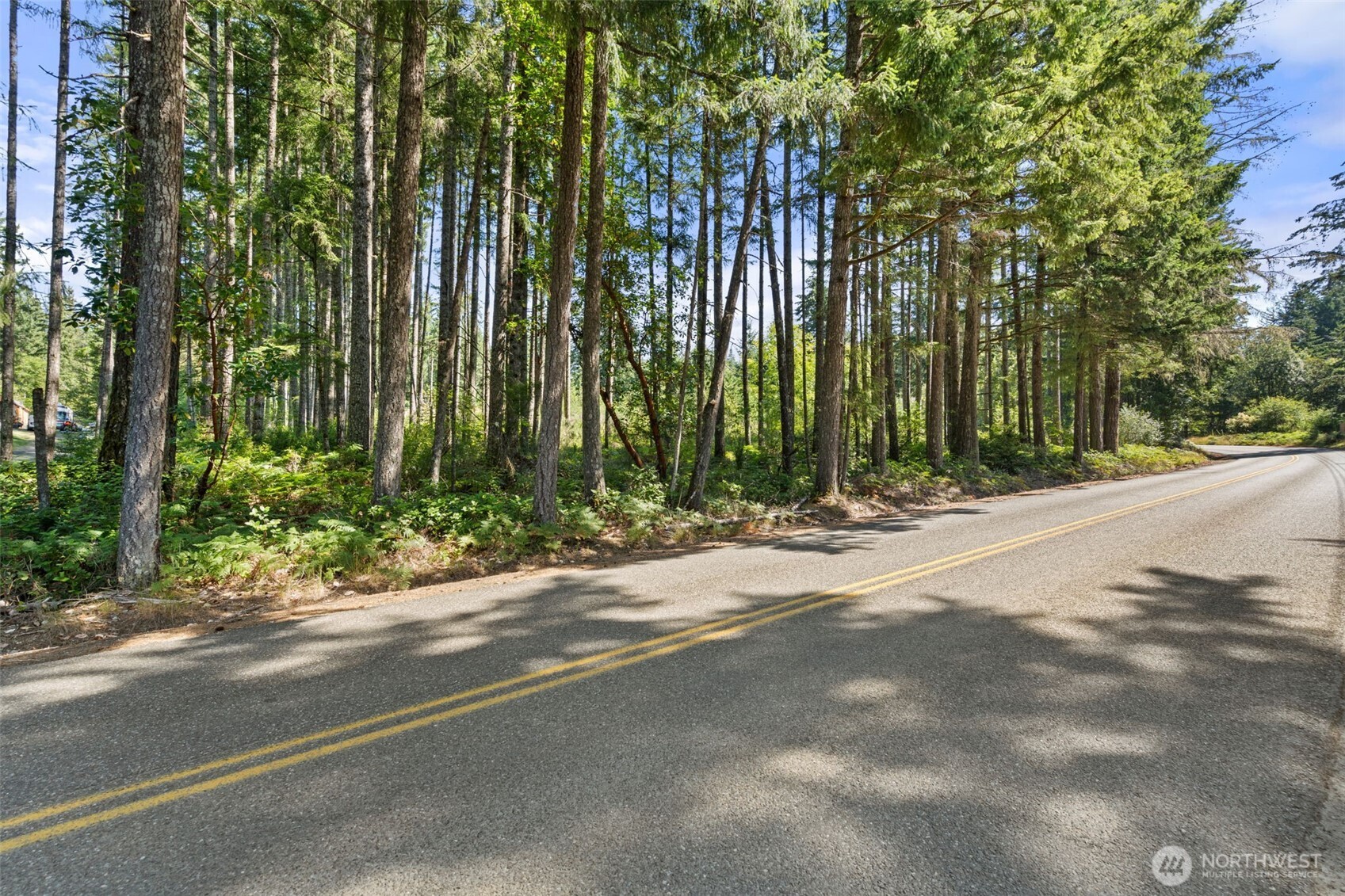 1030 East Phillips Lake Road Shelton, WA 98584 - Photo 1 of 21