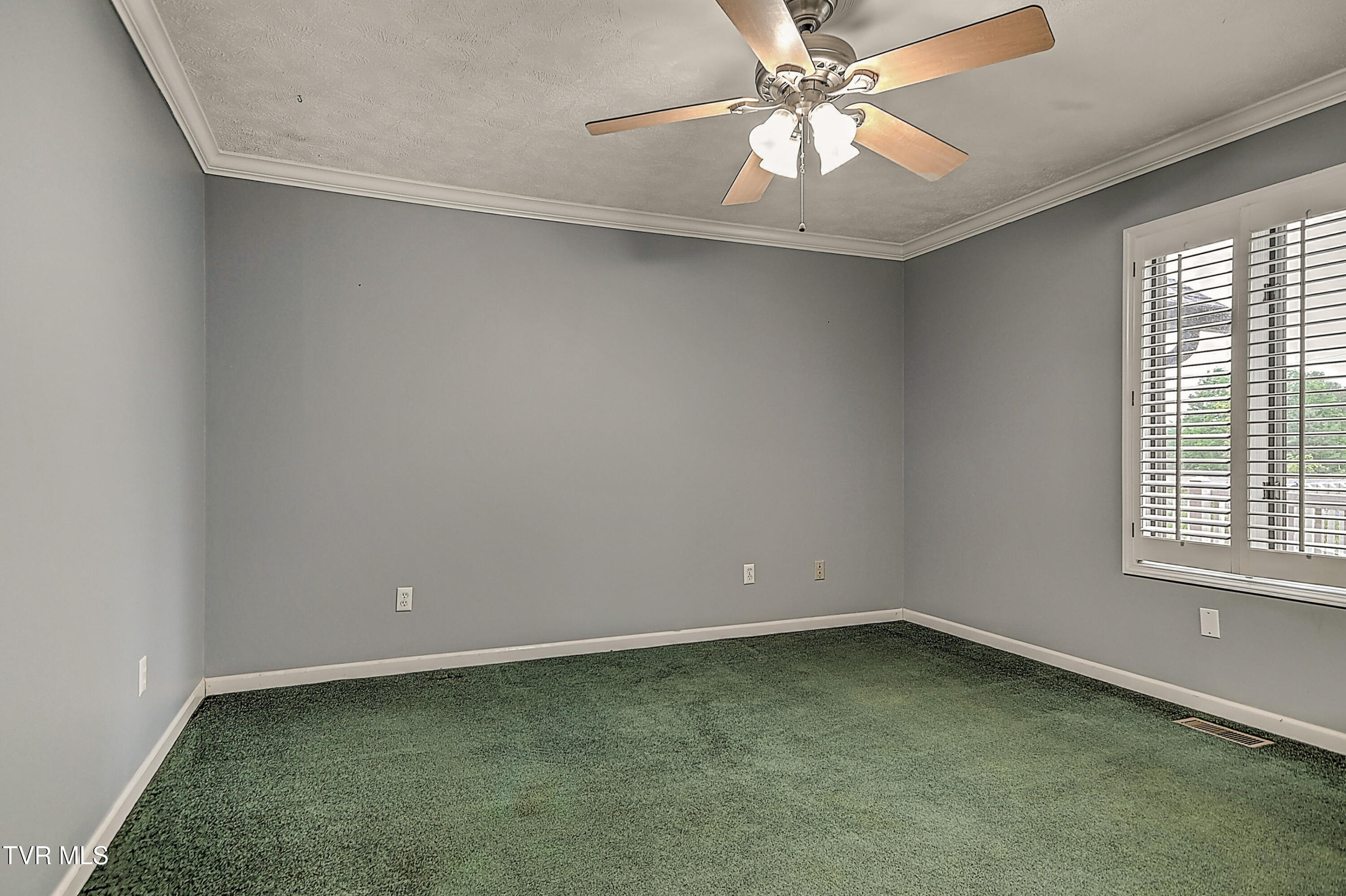 311 Big Springs Road Elizabethton, TN 37643 - Photo 51 of 92 311 Big Springs MP-29