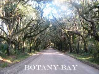 0 Palmetto Pointe Road, Unit 74 Edisto Island, SC 29438 - Photo 8 of 17 Additional Photo