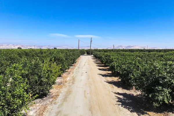 a view of a pathway both side of grassy field with shrub