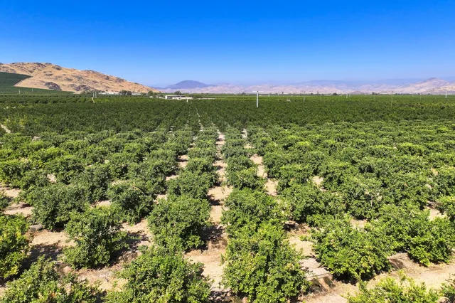 a view of a field with an ocean and mountain view