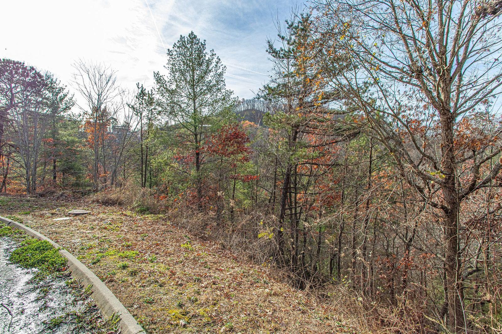 55 Smoky Ridge Way Sevierville, TN 37862 - Photo 1 of 14 Gallery Image 1
