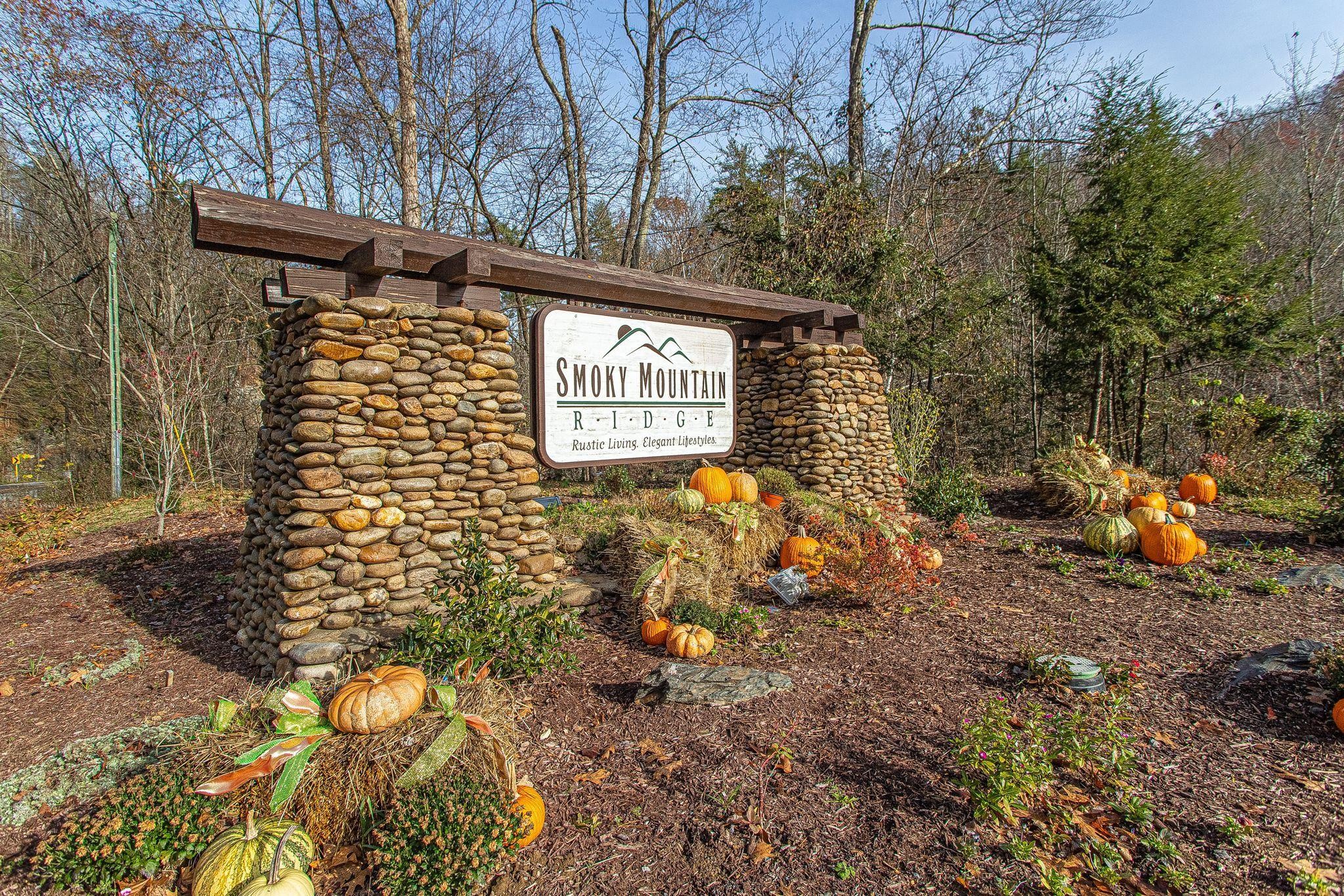 55 Smoky Ridge Way Sevierville, TN 37862 - Photo 2 of 14 Gallery Image 2