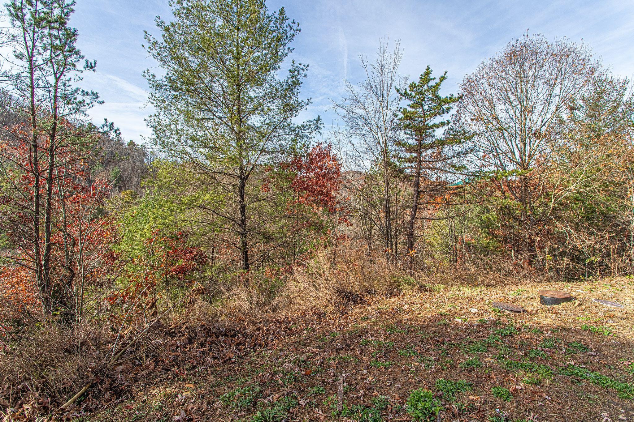 55 Smoky Ridge Way Sevierville, TN 37862 - Photo 3 of 14 Gallery Image 3