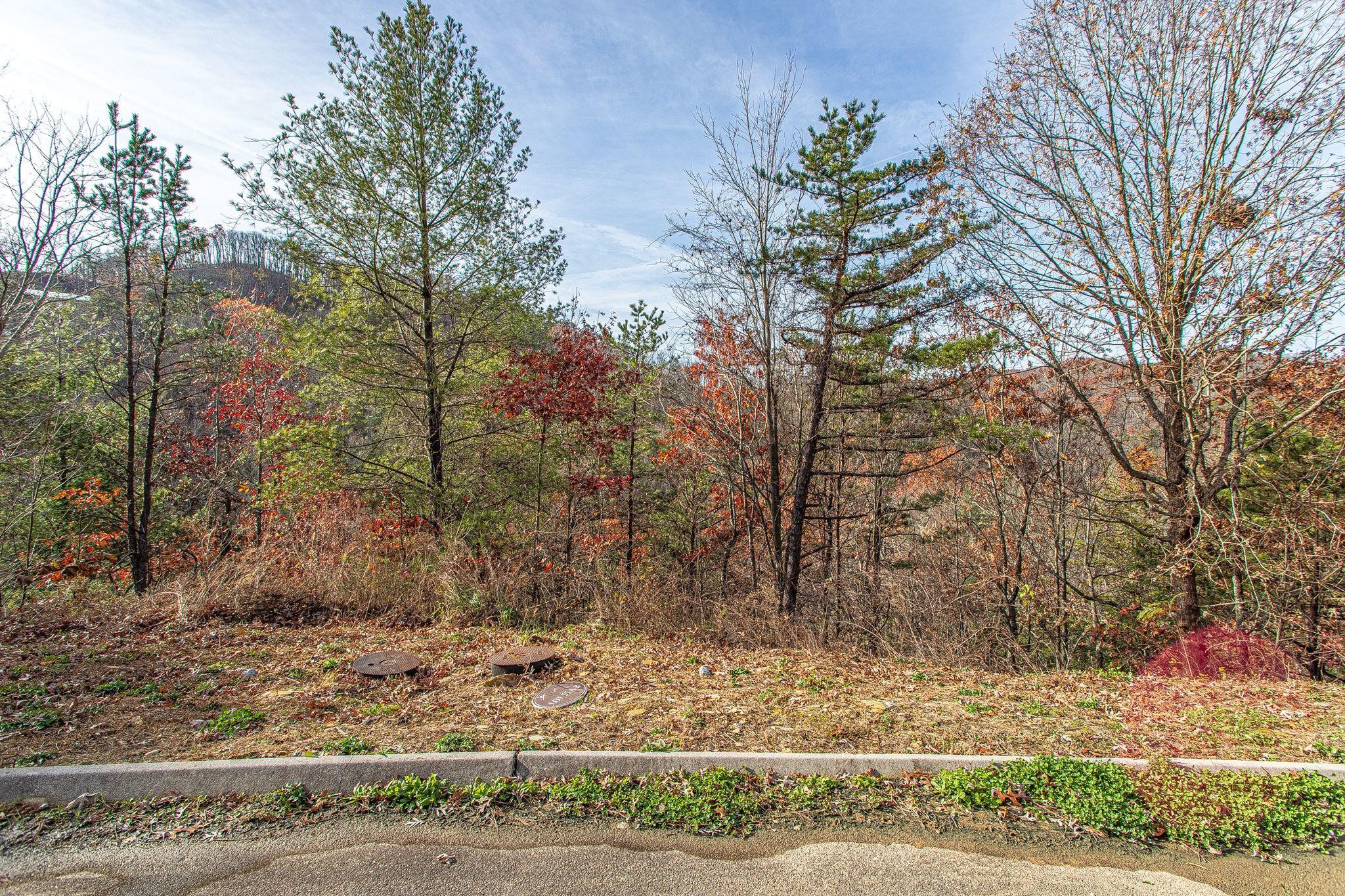 55 Smoky Ridge Way Sevierville, TN 37862 - Photo 4 of 14 Gallery Image 4
