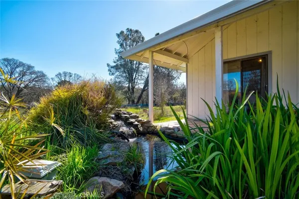 a view of a house with a yard and potted plants