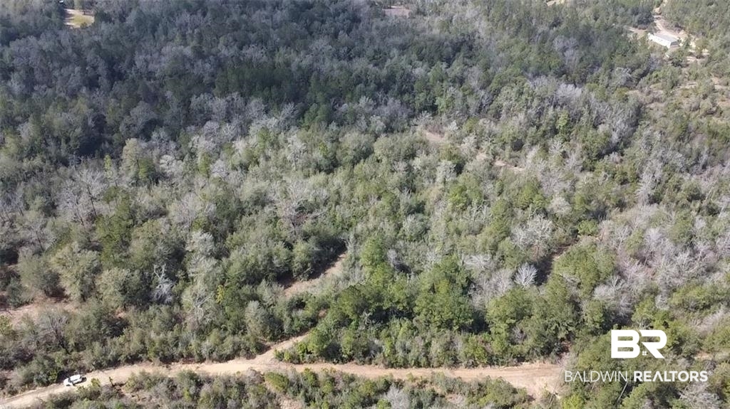 0 Chunchula Georgetown Road Chunchula, AL 36521 - Photo 1 of 15 Drone / aerial view featuring a wooded view