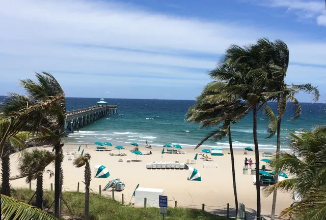 a view of a patio with table and chairs under an umbrella with a barbeque grill