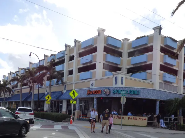 a living room filled with furniture and a potted plant