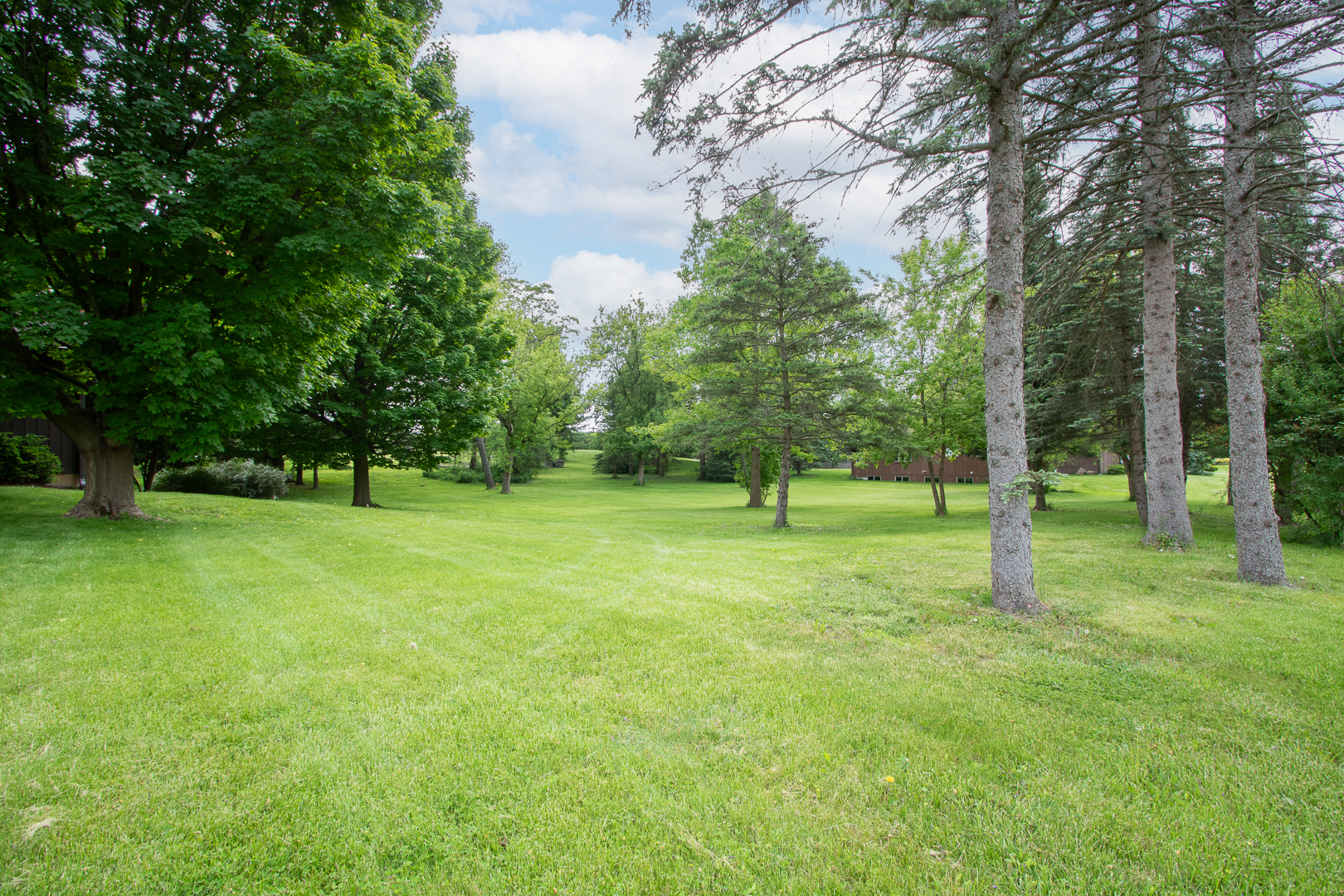 25285 West Ivanhoe Road Wauconda, IL 60084 - Photo 4 of 42 Gallery Image 4