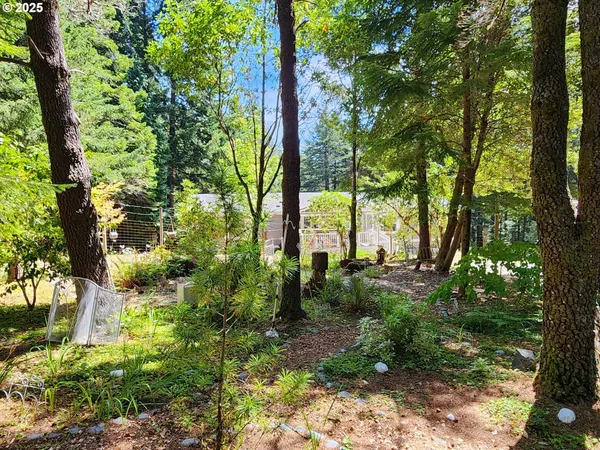 $445,000 | 41998 Humbug Way, Port Orford, OR 97465