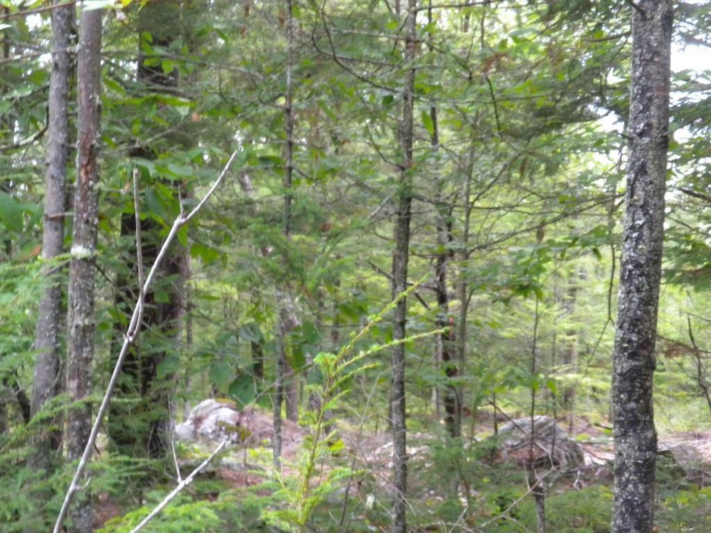 7 River Road Limington, ME 04049 - Photo 20 of 26 Photo