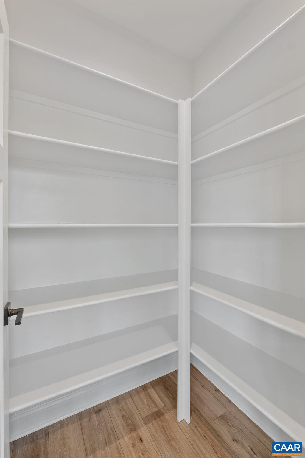 746 Park Ridge Drive Crozet, VA 22932 - Photo 25 of 46 a view of walk in closet with empty racks