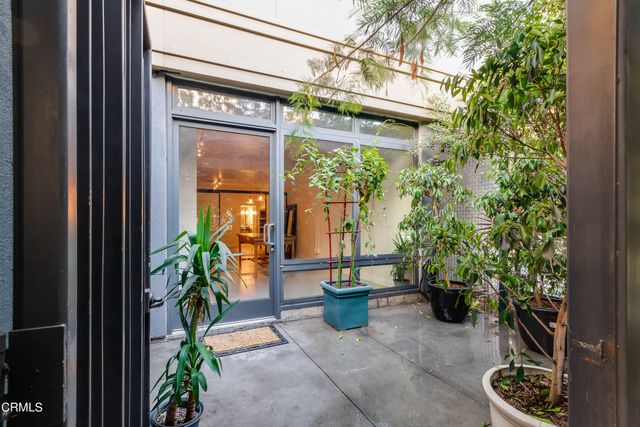 a view of a potted plants in front of a door