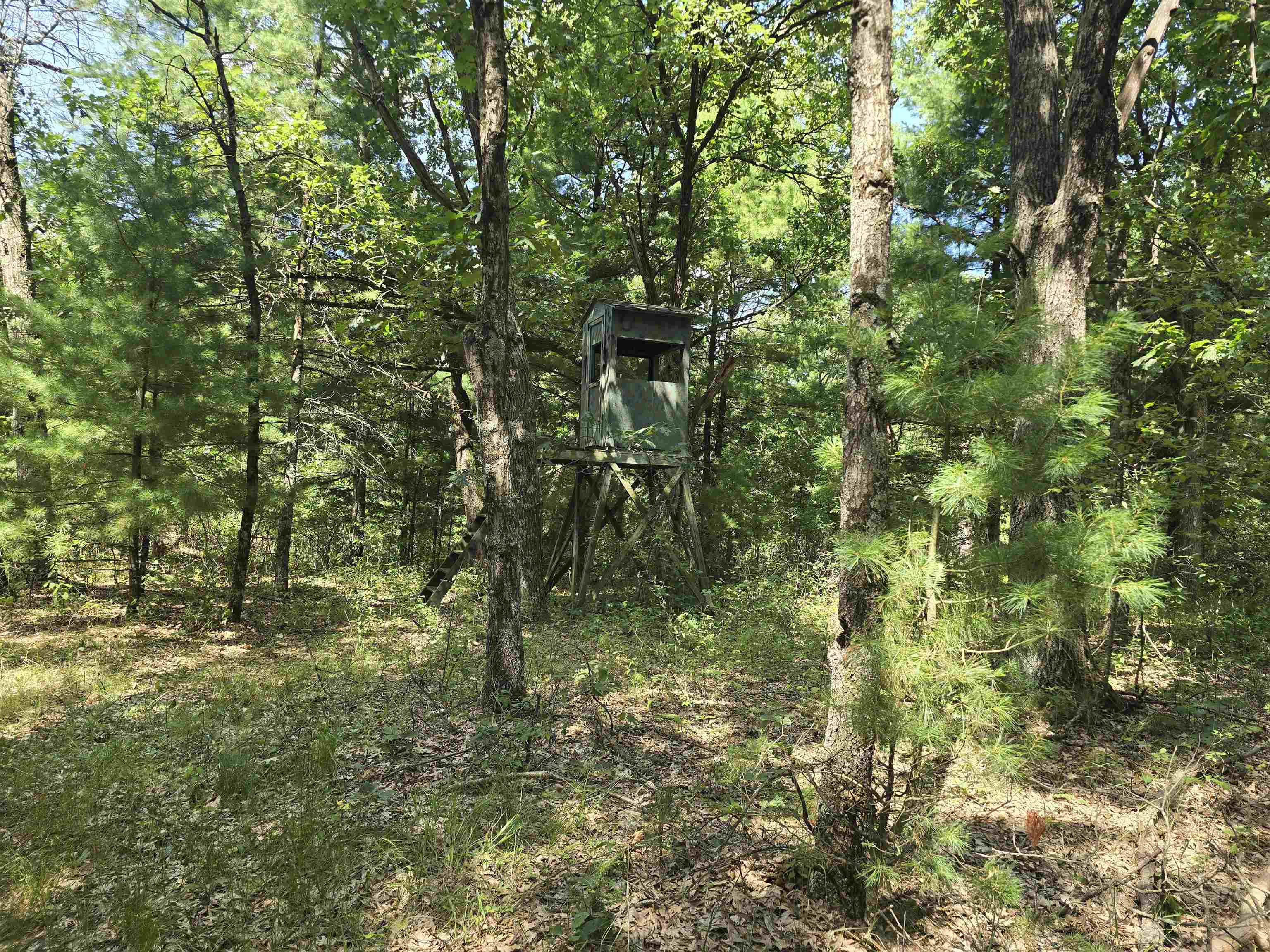 N4015 County Rd EE Redgranite, WI 54970 - Photo 30 of 41