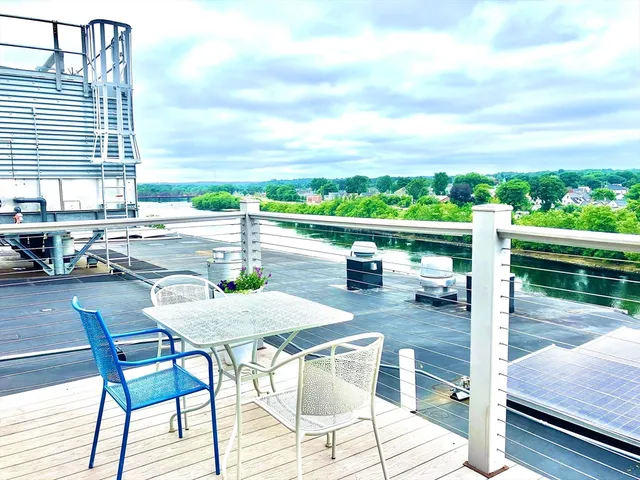 a view of a street with lush green forest