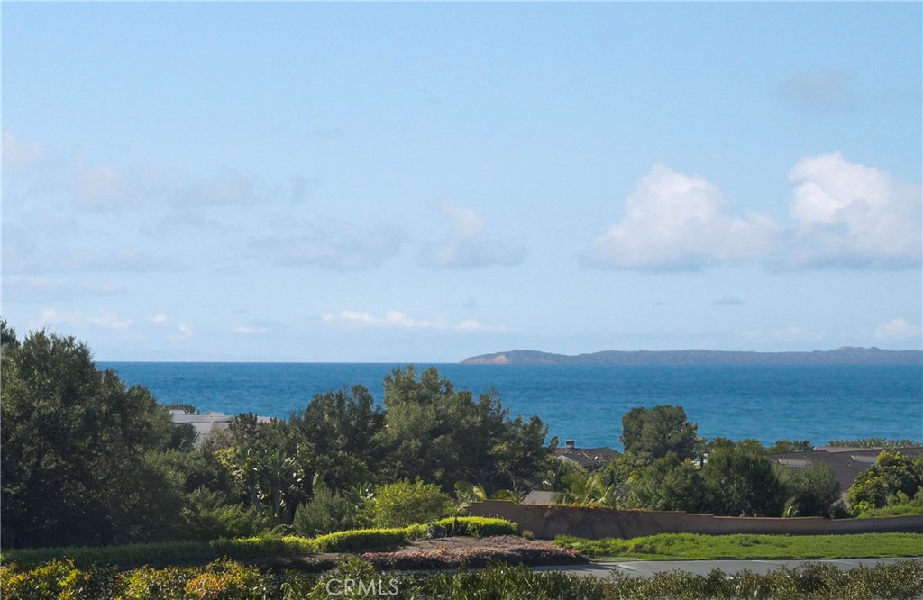 75 Palm Beach Court Dana Point, CA 92629 - Photo 24 of 37