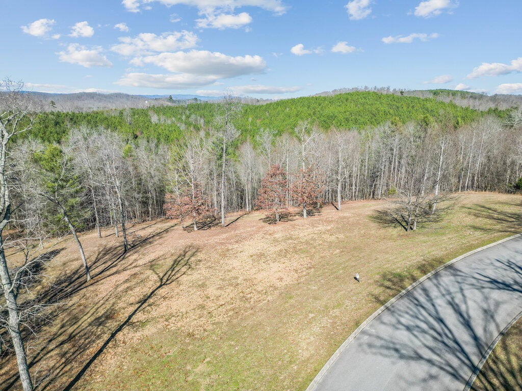 153 Hidden Forest Trail Spring Spring City, TN 37381 - Photo 1 of 16