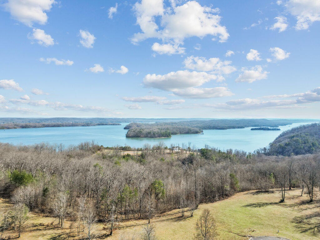153 Hidden Forest Trail Spring Spring City, TN 37381 - Photo 12 of 16