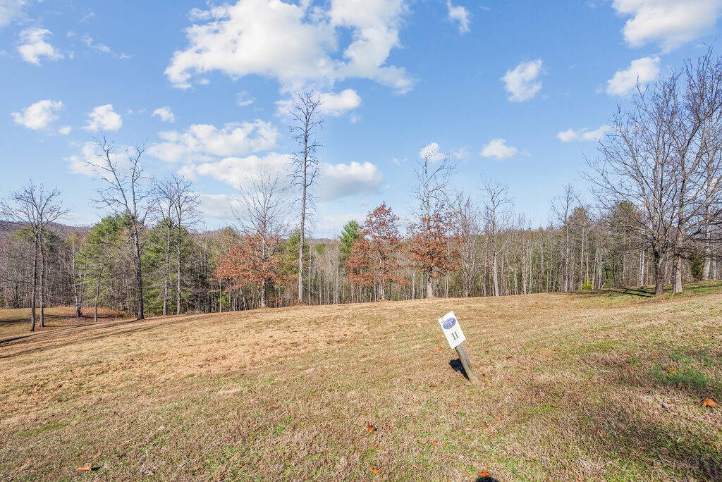 153 Hidden Forest Trail Spring Spring City, TN 37381 - Photo 3 of 16