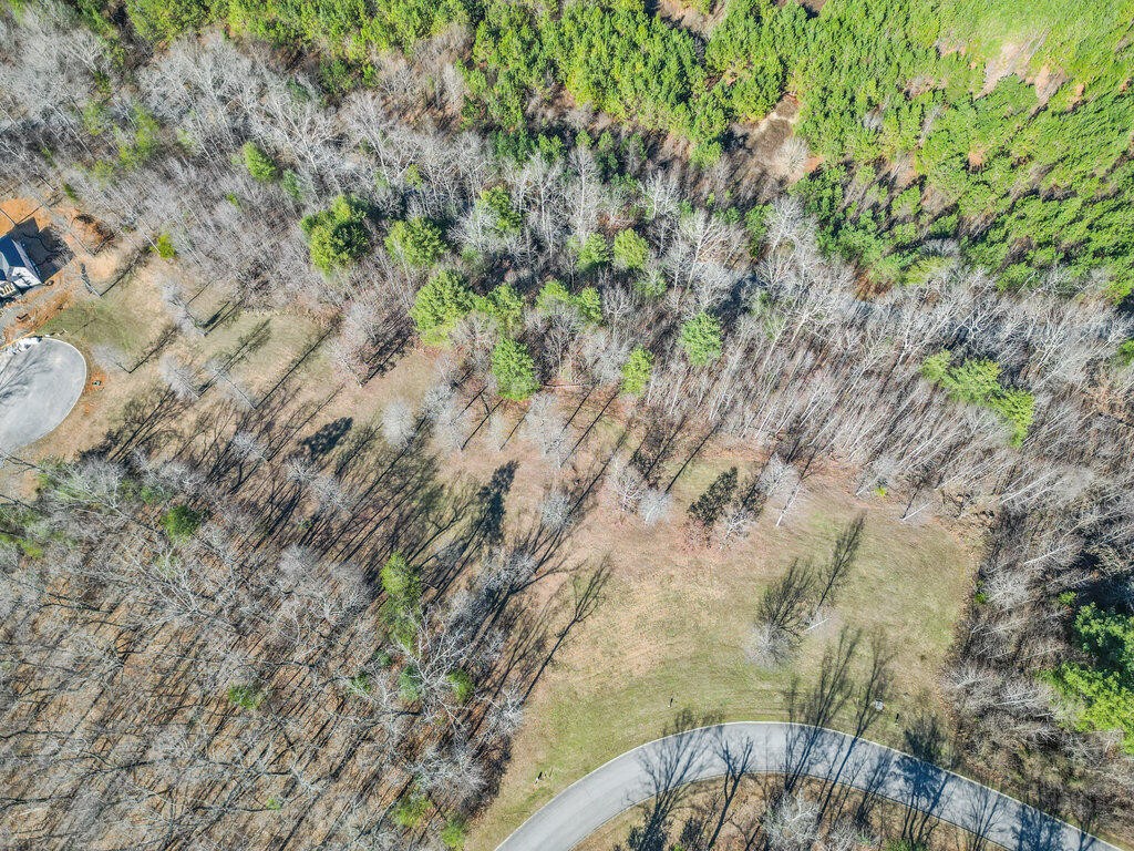 153 Hidden Forest Trail Spring Spring City, TN 37381 - Photo 8 of 16