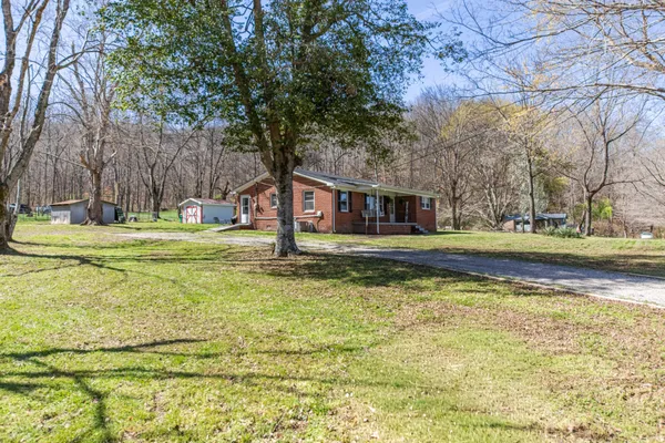 a view of yard with tree